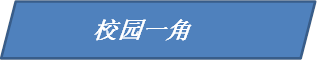 校园一角